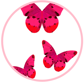 Butterfly Art